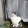 ゆちゃゆちゃ