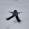 の写真