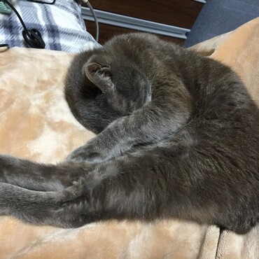 お帰り葵ちゃん！ゆっくり休んでね(^^)僕も凄く眠くて…(^^;