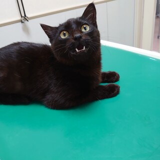 お見合い予定募集停止★永司★甘えん坊