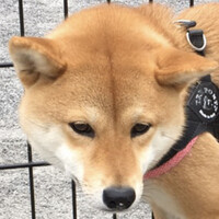 富永ひとは
