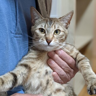 甘えん坊なテンちゃん