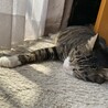 実唯