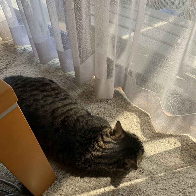 実唯のカバー写真