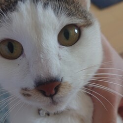 「生後１２ヶ月」サムネイル1