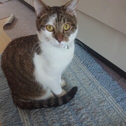 「生後１２ヶ月」サムネイル2