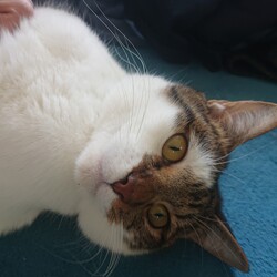 「生後１２ヶ月」サムネイル3