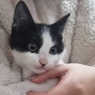 ホントは甘えん坊です