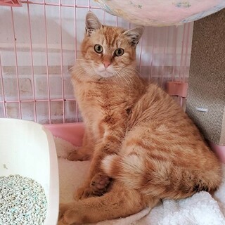 人馴れして甘えてくるようになりました♡