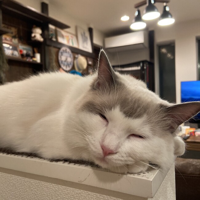 まみみみのカバー写真