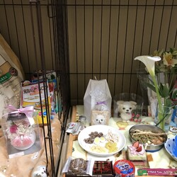 「四十九日」サムネイル1