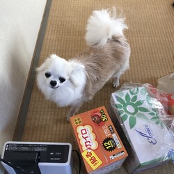 「四十九日」サムネイル2