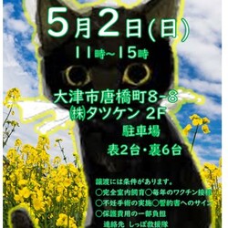 しっぽ救援隊☆石山タツケン譲渡会