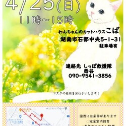 湖南石部譲渡会
