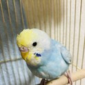 ありがとうございました！