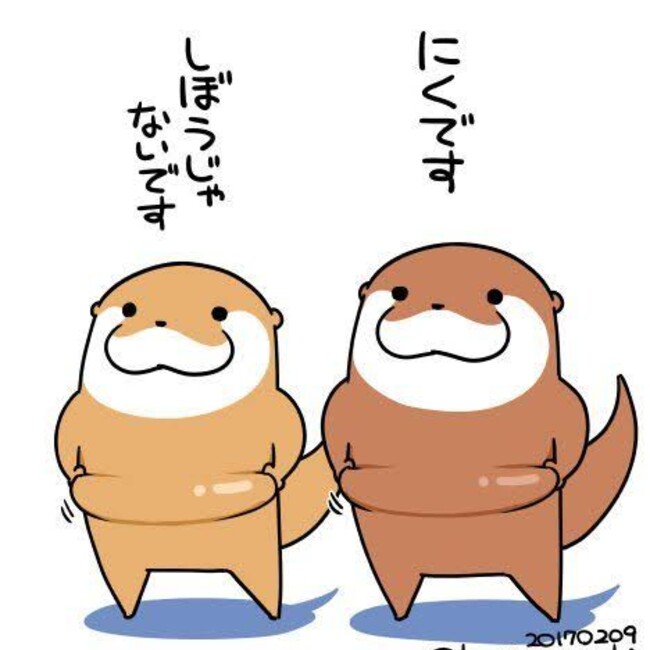 りかわうそのカバー写真