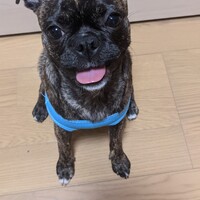彩葉
