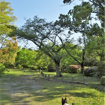 の写真