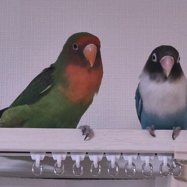 仲良くなる日はくるのかな？