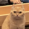 うめね