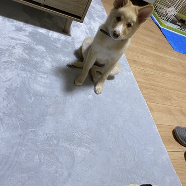 まだまだ距離が縮まりません