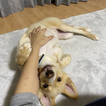 初☆おなか触ったとき