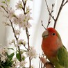 なな13