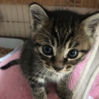 里親決定☆すばる君1ヶ月