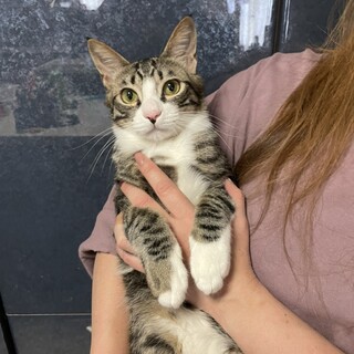 里親決定しました