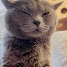 まぐ
