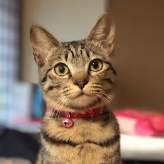 仮名　にょち　♀