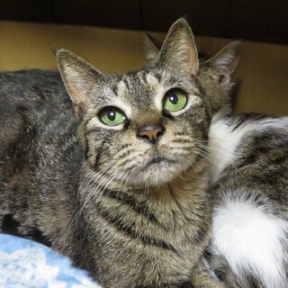 さとちゃん☆女の子☆甘えん坊