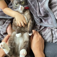 きょん