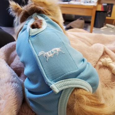 去勢手術、頑張ってくれてありがとう❤️