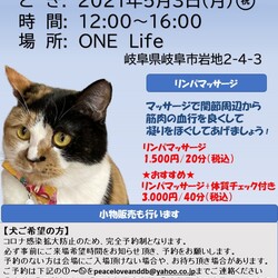 わんにゃん譲渡会