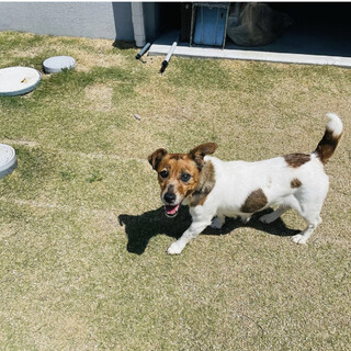 片目の見えない女の子