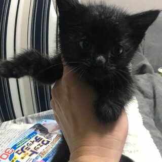 問い合わせ多数の為、募集一時中断します(･･;)
