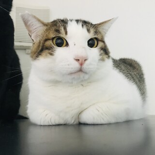 キリッとイケメン＊雅くん