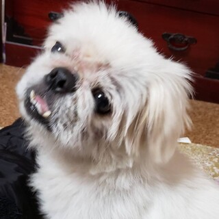 愛嬌のある女の子♪「ミルク」♪