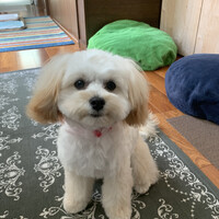 つむぎ