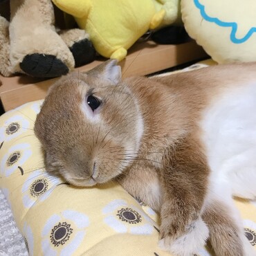 の写真