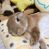 の写真