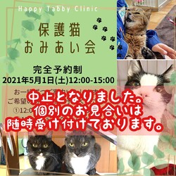 中止いたします。おみあい会