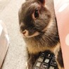 可愛がってあげてください。 サムネイル4