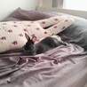 可愛がってあげてください。 サムネイル6