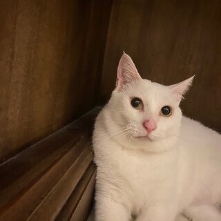 おっとりさん♡きんちゃん