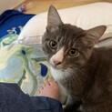 サバシロくんの里親募集です。