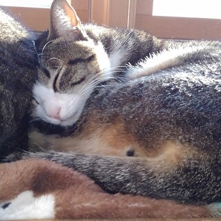 無邪気なやんちゃぼうず