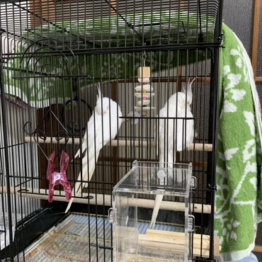 2人でくつろいでる