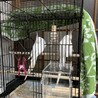 2人でくつろいでる